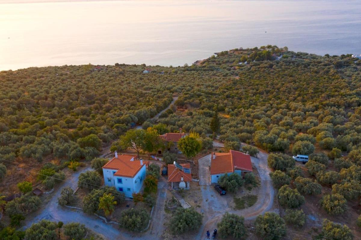 Four Independence Houses By The Sea Glífa Buitenkant foto